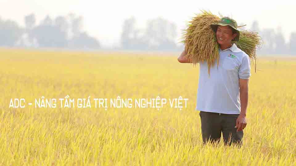 Nâng tầm chuỗi giá trị nông nghiệp Việt
